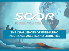 Insurance assets and liabilities