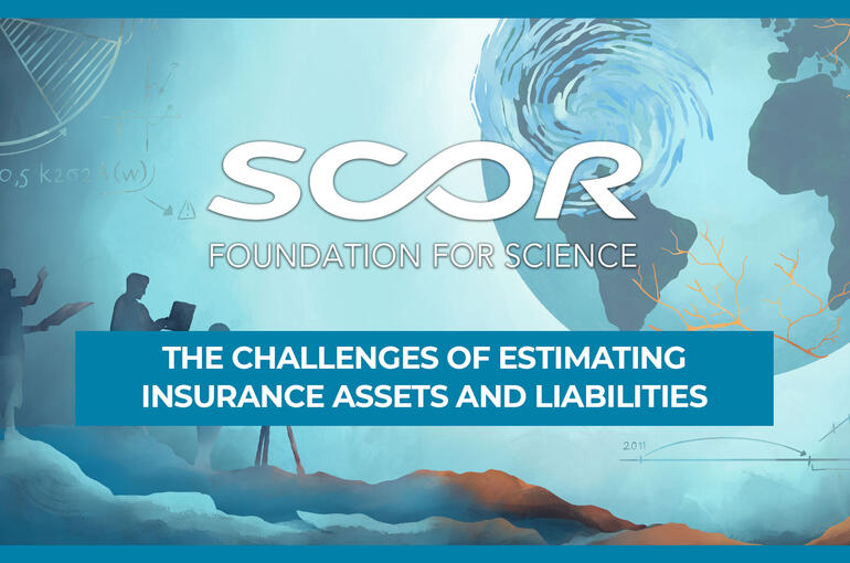 Insurance assets and liabilities