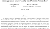 Endogenous Uncertainty Paper