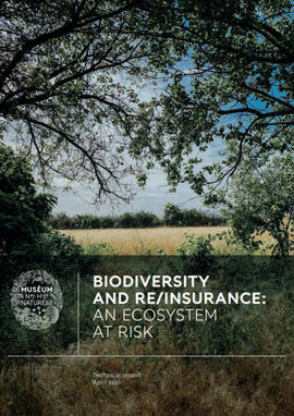 vignette_rapport_biodiversity_and_reinsurance