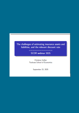 The challenges of estimating insurance assets and liabilities, and the relevant discount rate