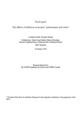 Report Effects Of Inflation